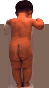 babybum.gif